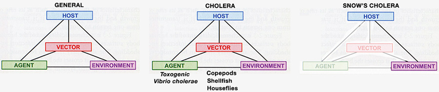Epidemiological triad plus one, now and in Snow's Time