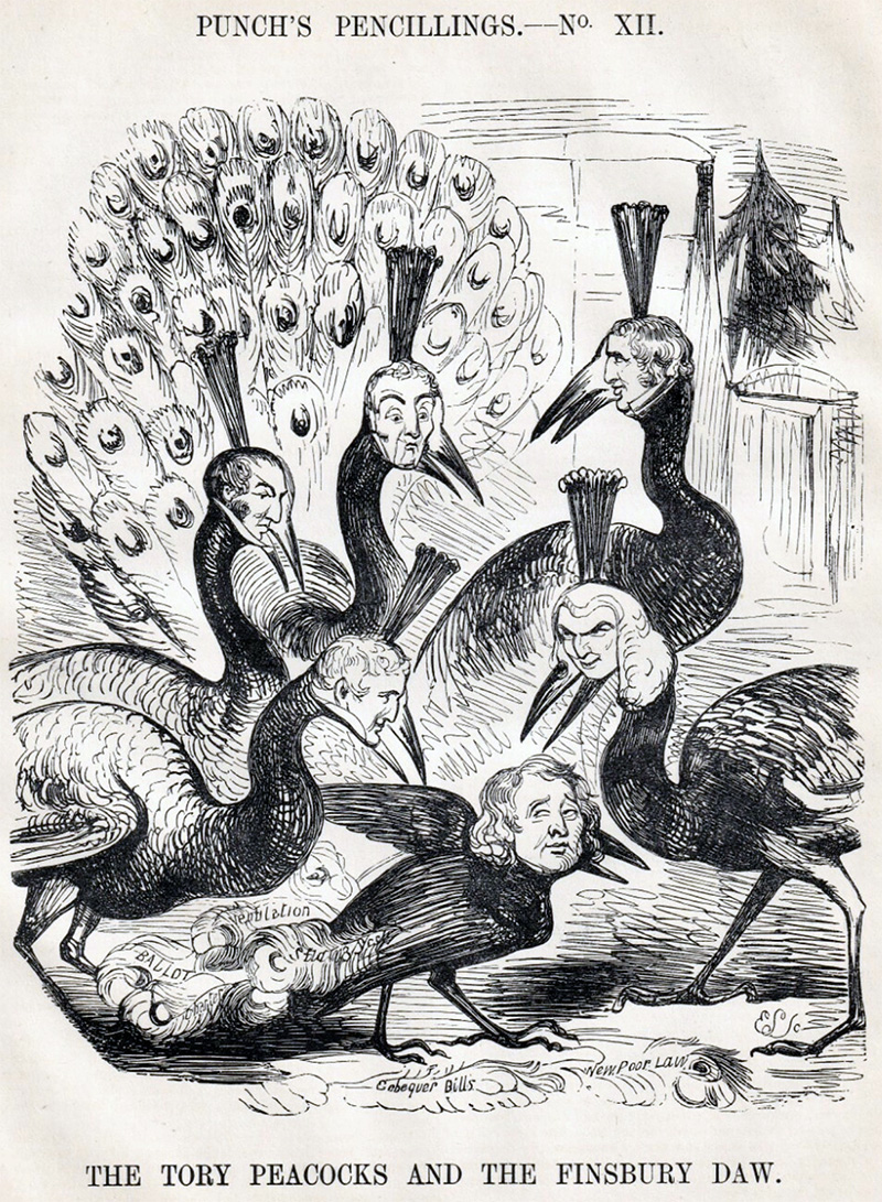 The Tony Peacocks and the Finsbury  Daw