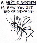 A septic systerm is how you get rid of sewage?