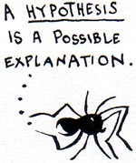 Hypothesis - possible explanation