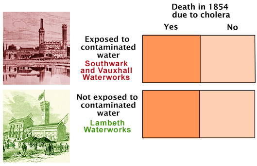 experimental design with one group exposed to contaminated water and the other unexposed, with cholera deaths as the outcome